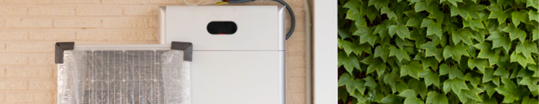 Website Banners (8)